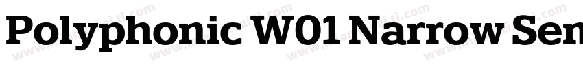 Polyphonic W01 Narrow SemiBold字体转换